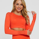 Blusa Manga Longa Crop