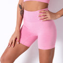 Short Levanta Bumbum Cós Alto Sport