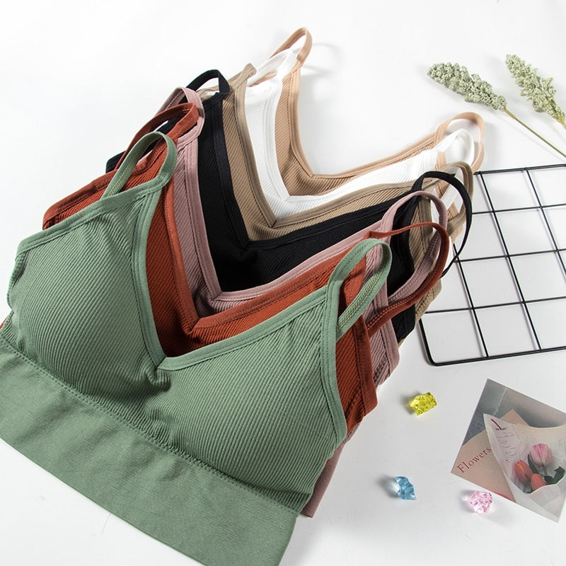 PRÉ BLACK FRIDAY - Sutiã Sem Costura Push UP  (Compre 1 e Leve 2 ) - Queima de Estoque