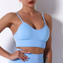 Top Esportivo Crop