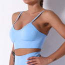 Top Esportivo Crop