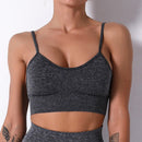 Top Esportivo Crop